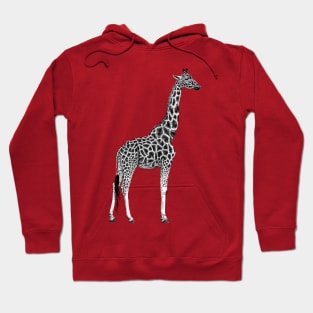 Giraffe drawing Hoodie